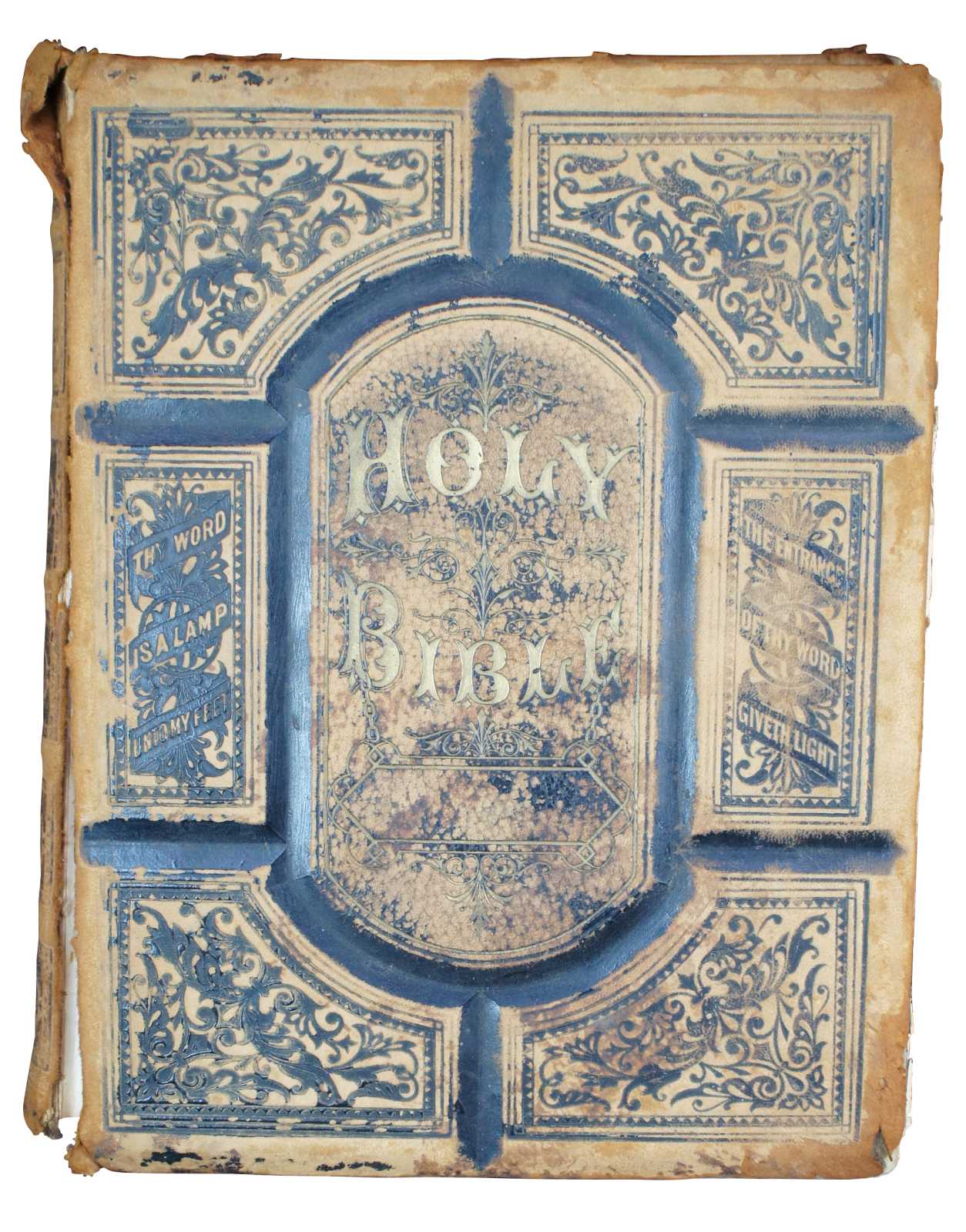 Main Image