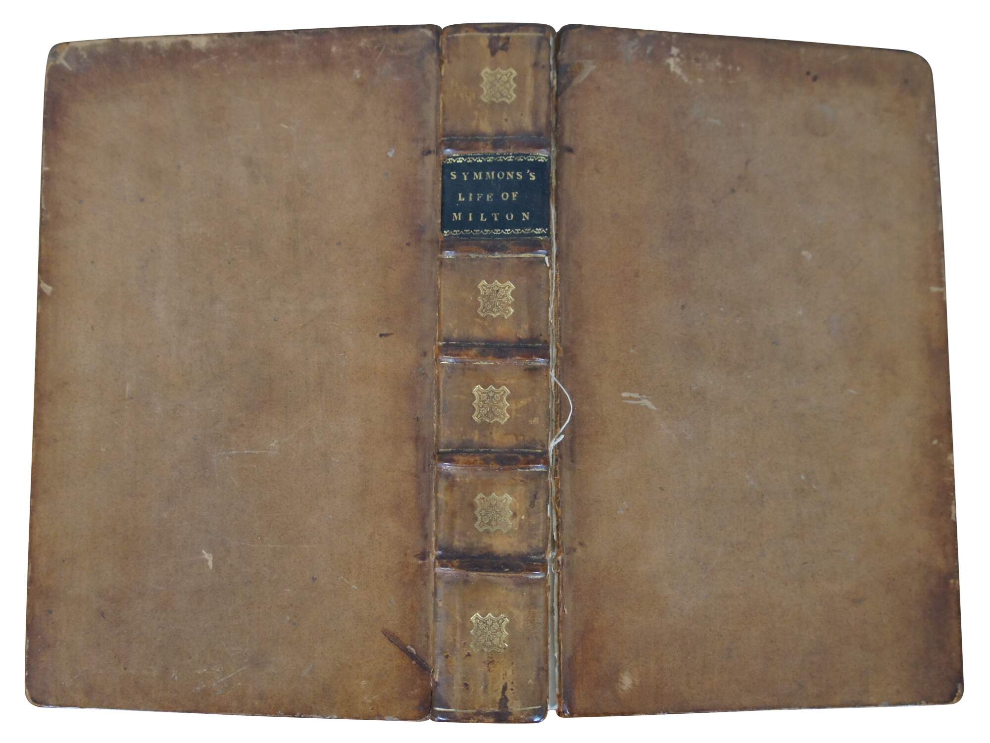 Main Image