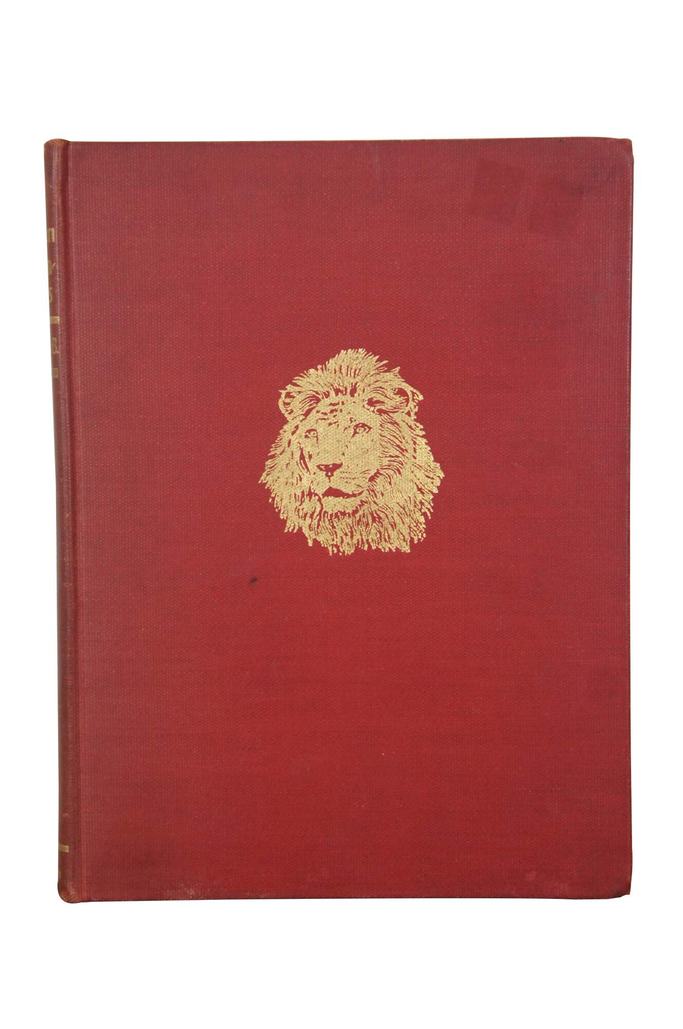 Main Image