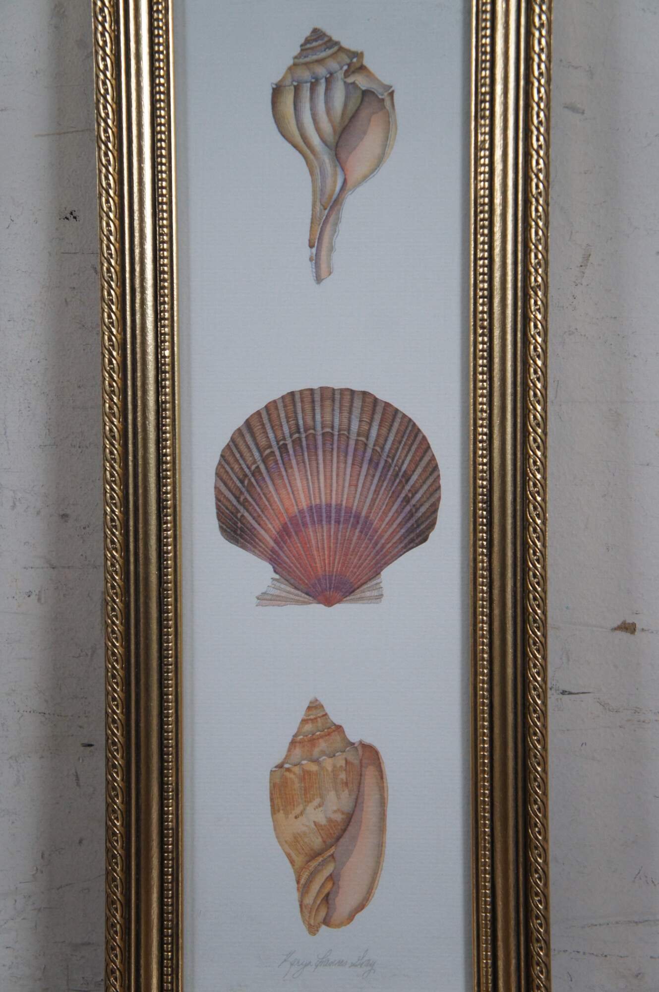 4 Karyn Frances Gray Shell Panel Series Prints Seashells Nautical Ocean ...