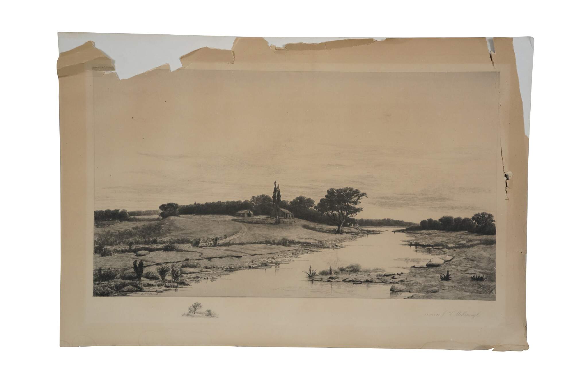 Main Image