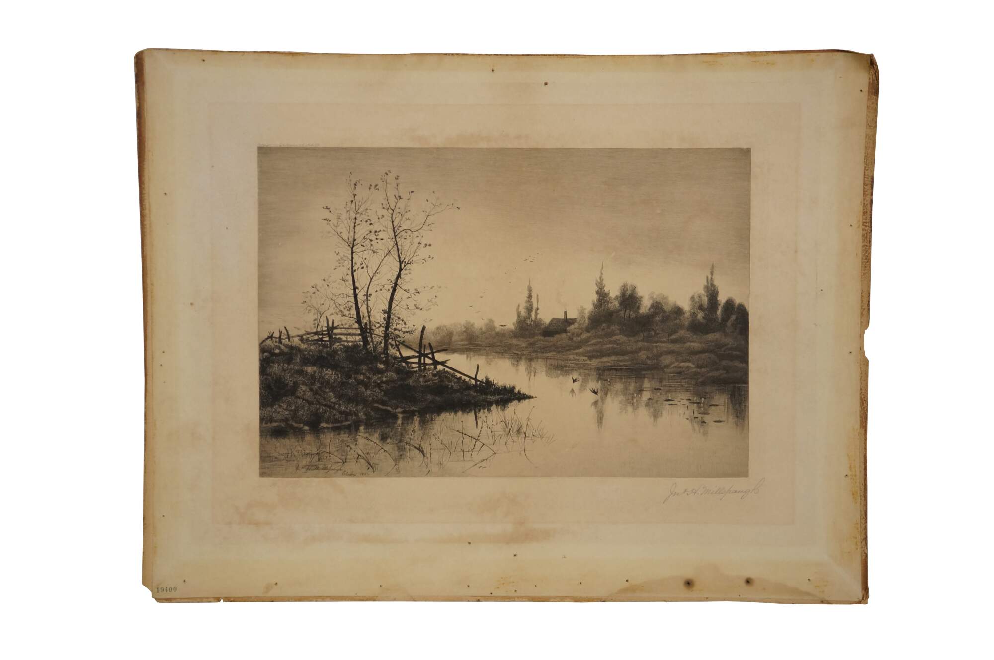 Main Image