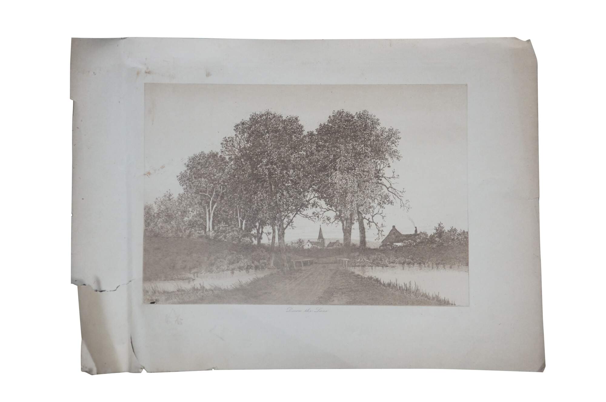 Main Image